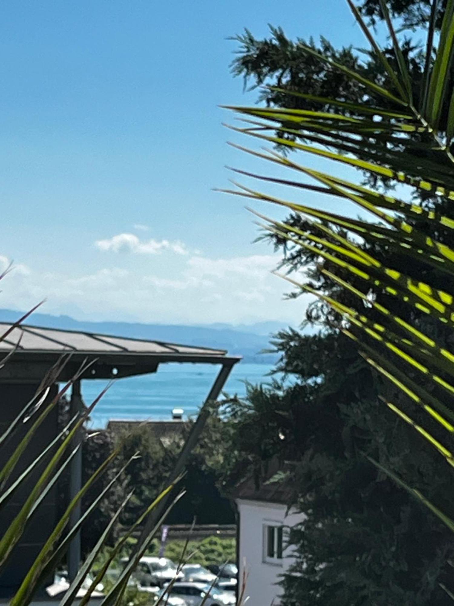 Traumhafte Ferienwohnung Mit See Und Bergsicht Фридрихсхафен Экстерьер фото